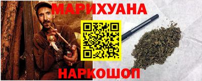 шишки Камень-на-Оби