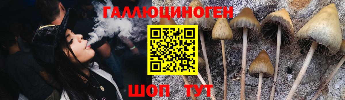 Галлюциногенные грибы GOLDEN TEACHER Серов